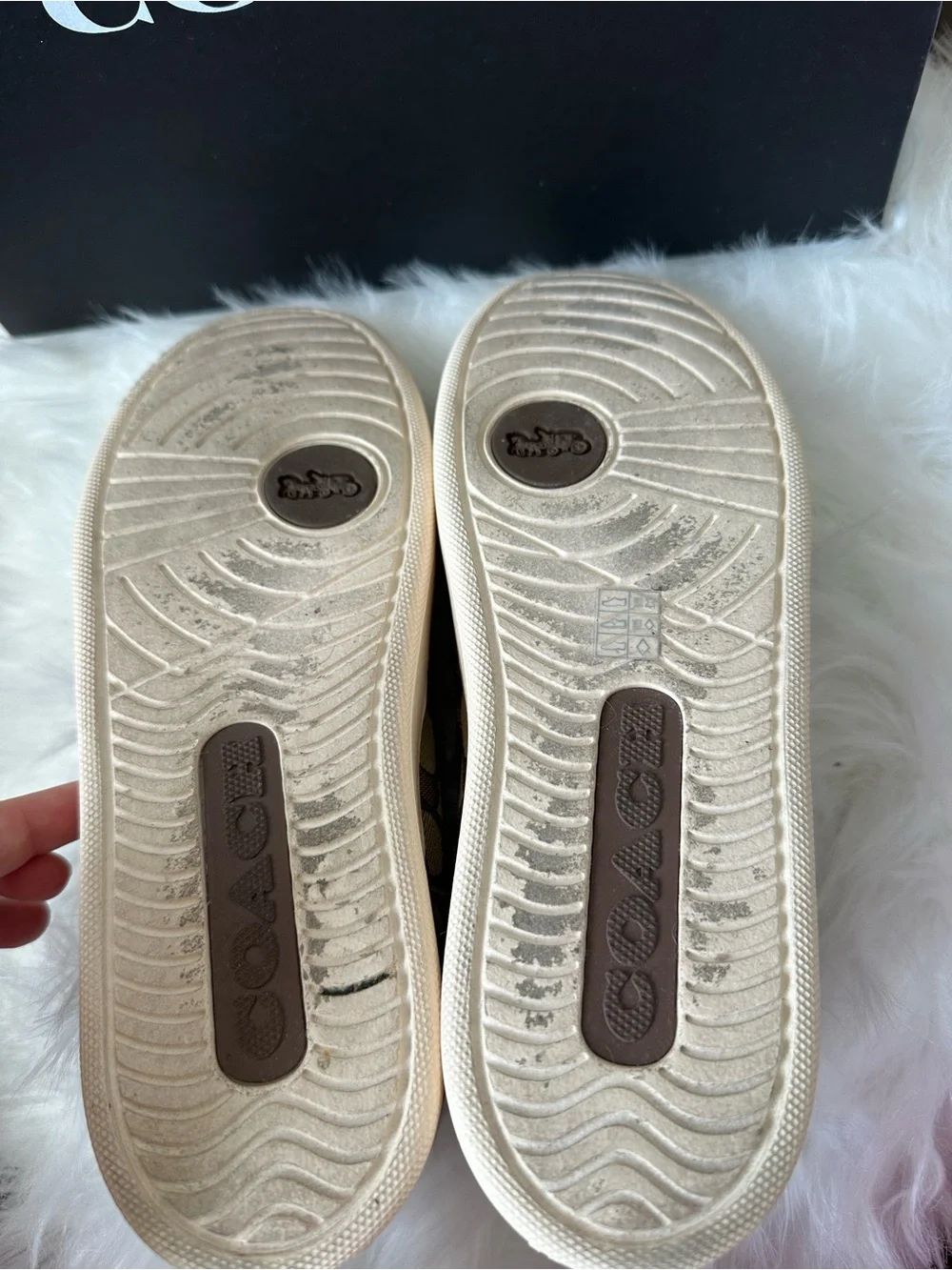 Coach woman’s Brown Signature Slip-On Sneakers